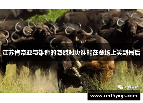 江苏肯帝亚与雄狮的激烈对决谁能在赛场上笑到最后
